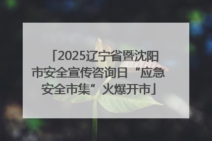 2025辽宁省暨沈阳市安全宣传咨询日“应急安全市集”火爆开市